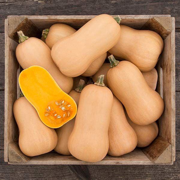 Butternut tikva